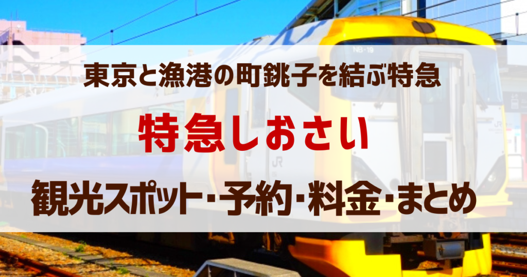 東京と「漁港・醤油の町」銚子を結ぶ特急列車